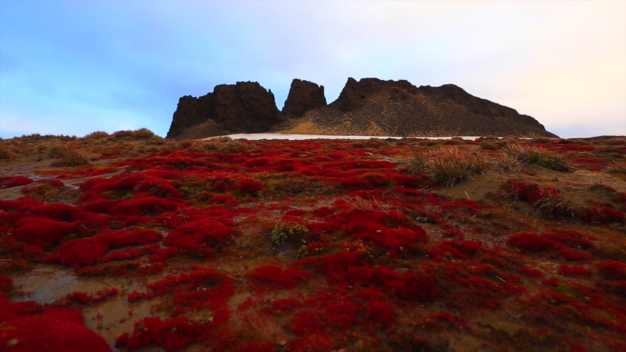 Русская Арктика, Архангельская область