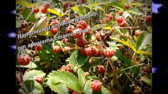 Да как же спать в такое утро!музыка и мои стихи-для души...и доброты. смотреть онлайн