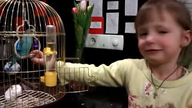 Ребенок кормит попугая. The child feeds a parrot. смотреть онлайн