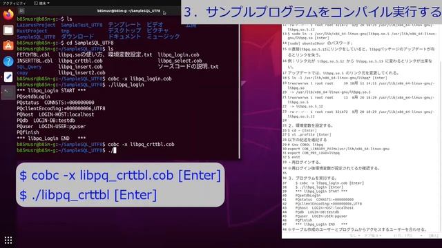 ９．Ubuntu 20.04 LTS amd64 日本語 Remix の GnuCOBOLでのlibpqの使い方 смотреть онлайн