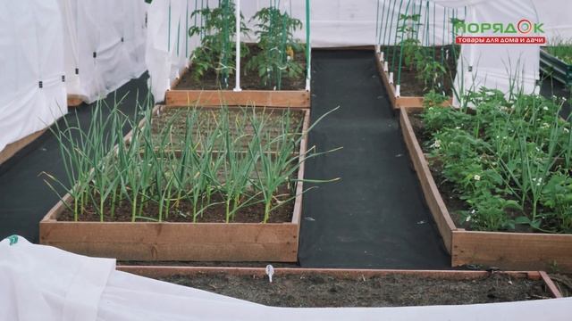 Все о парниках: как выбрать парник, виды и размеры парников. Что лучше - теплица или парник? смотреть онлайн