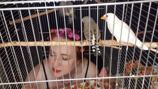 Печальный вторник день смотреть онлайн