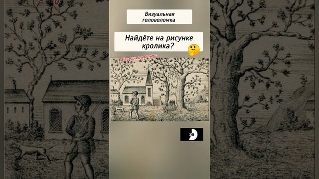 головоломка с ответом, найдёте на рисунке кролика? смотреть онлайн