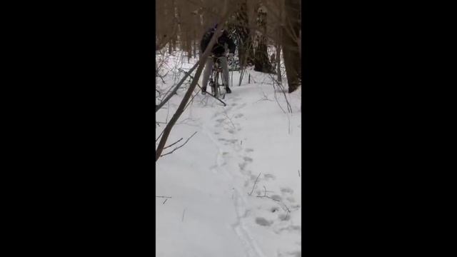 Готовим в лесу зимой смотреть онлайн