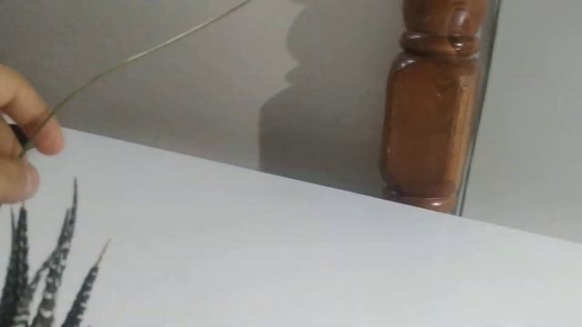 Откуда имя Потик смотреть онлайн