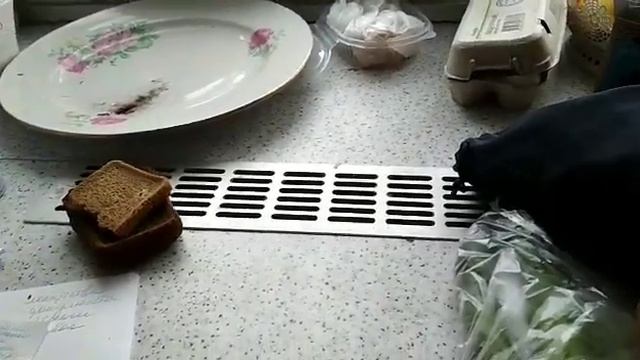 Искусство Сотворения