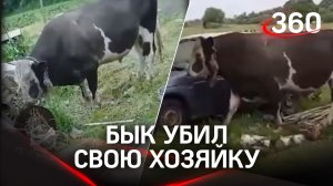 Бык-убийца: скотина атаковала жителей курского села, погибла женщина