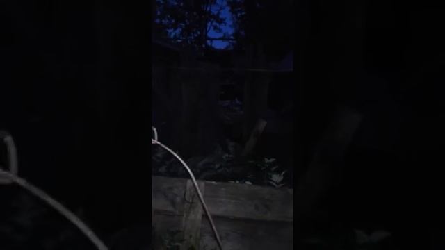 приготовление блинов на буржуйке смотреть онлайн