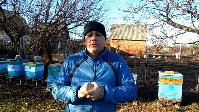 ПЧЕЛОВОДСТВО.КАКАЯ ТЕМПЕРАТУРА В УЛЬЕ ВО ВРЕМЯ ЗИМОВКИ!!! смотреть онлайн