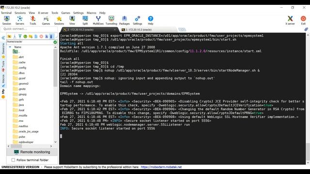 08 Starting/ Stopping Oracle Hyperion Application смотреть онлайн
