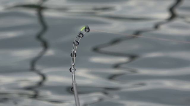 Рыбалка на фидер для НОВИЧКА!!! Как ловить на Фидер правильно! Выбор места ловли. Монтаж снасти