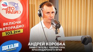 Андрей Коробка о развитии устричных ферм, решении проблемы семенного фонда и виноделии Кубани