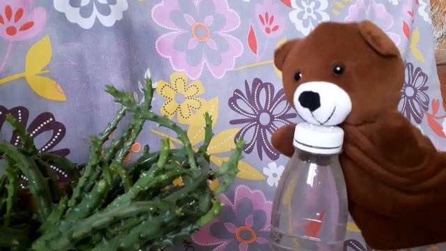 Сказки для детей(3) смотреть онлайн