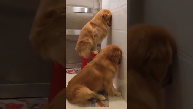 Вот и поиграли😝 смотреть онлайн