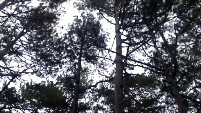 Скала Дива и Дача Чехова в Гурзуфе 2017 смотреть онлайн