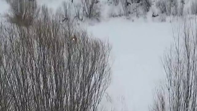 снегоход толкач из мотобуксировшика 2у