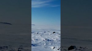 Бухта Север (Диксон) красоты