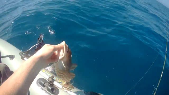 рыбалка на камбалу, отдых, природа, море.flounder fishing, rest, nature, sea. смотреть онлайн