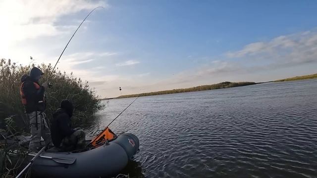 Рыбалка с друзьями. Волга. П. Вышка. Астраханская область. Логово сазана. Часть 3 смотреть онлайн