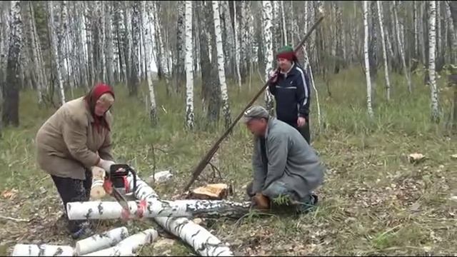 заготовка дров 2ч.
