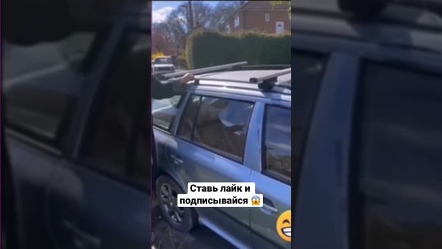 Самое прочное стекло смотреть онлайн