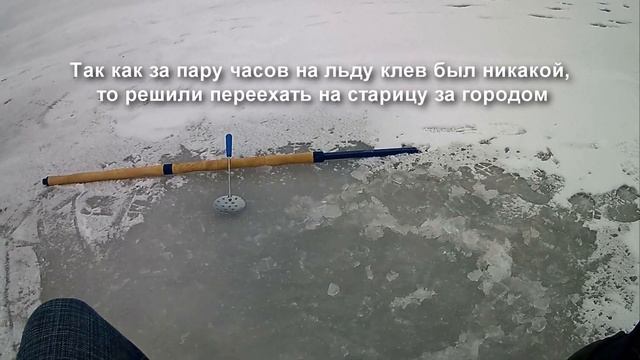Зимняя рыбалка. В поисках неуловимой рыбы. Упал, первая кровь в этом году. Стая пингвинов. смотреть онлайн