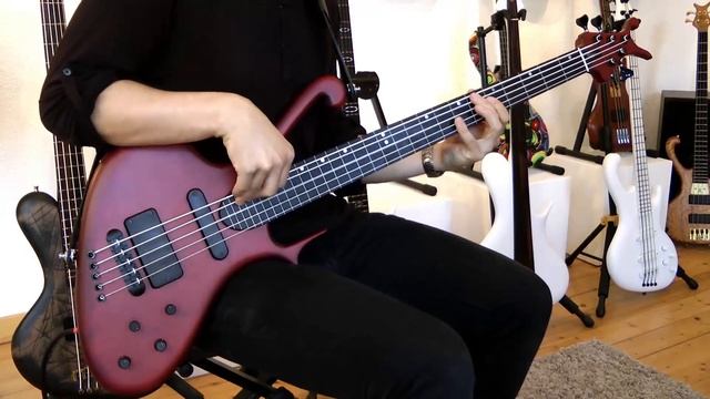 Ritter Instruments Fretless 5-String Raptor Bass Demo смотреть онлайн