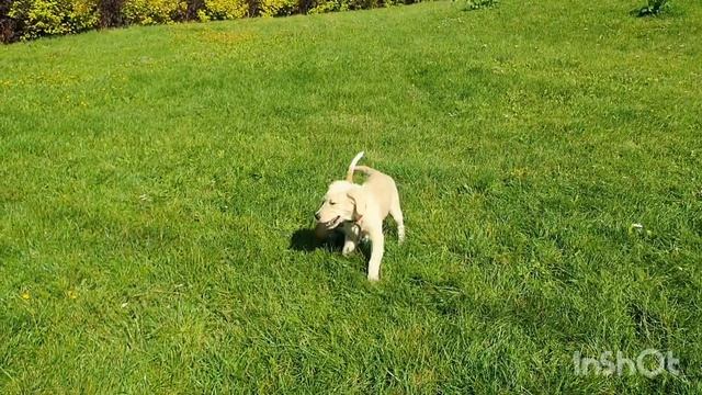 Samba 4 miesiąc (@katarzynakumela) смотреть онлайн