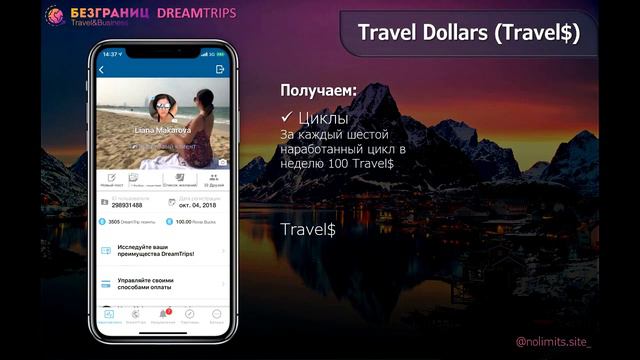 Внутренняя валюта DREAMTRIPS Как сделать путешествия бесплатными Лиана Макарова БЕЗГРАНИЦ смотреть онлайн