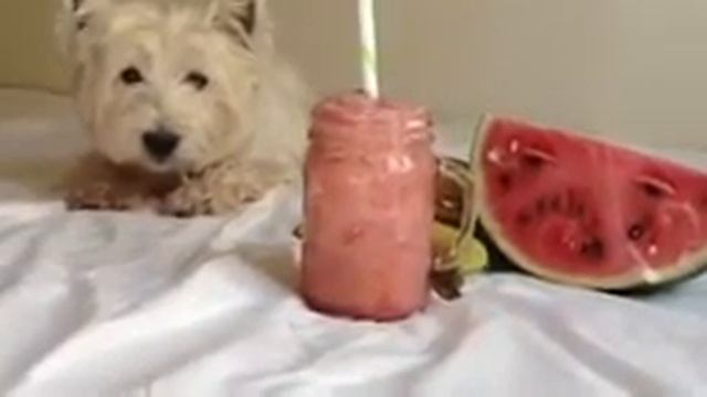 Смузи смотреть онлайн