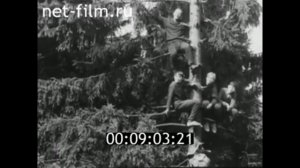 1972г. п. Юкки. Прыжки на лыжах с трамплина. Ленинградская обл