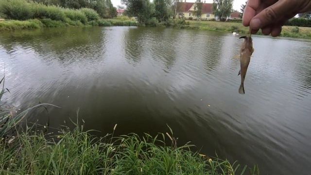 Спин, мормышка и ротан (1) смотреть онлайн