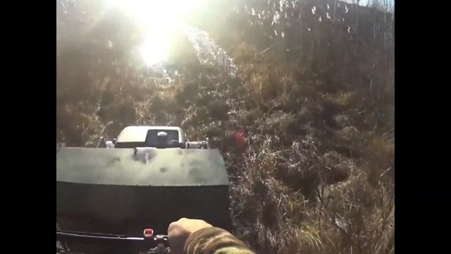 Про Ураган медведь смотреть онлайн