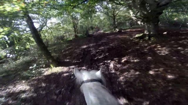 Gallop Hack on Misty! | Helmet Cam смотреть онлайн