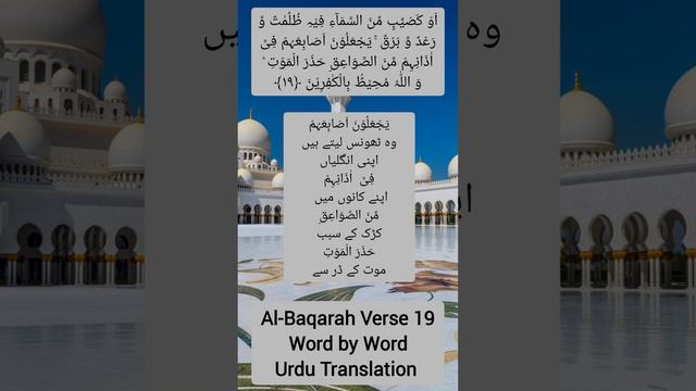Surah Al-Baqarah Verse 19 - Word by Word Urdu Translation #quran #qurantranslation смотреть онлайн