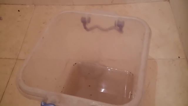 Как сделать старинное безвредное мыло.которое еще и снимает порчу смотреть онлайн