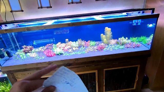 ч.3 Запуск аквариума в Голландском стиле. смотреть онлайн