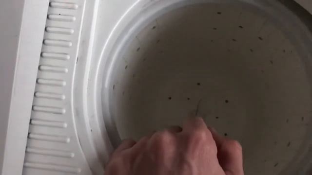 Стиральная машина не сливает воду при отжиме. Устраняем проблему смотреть онлайн
