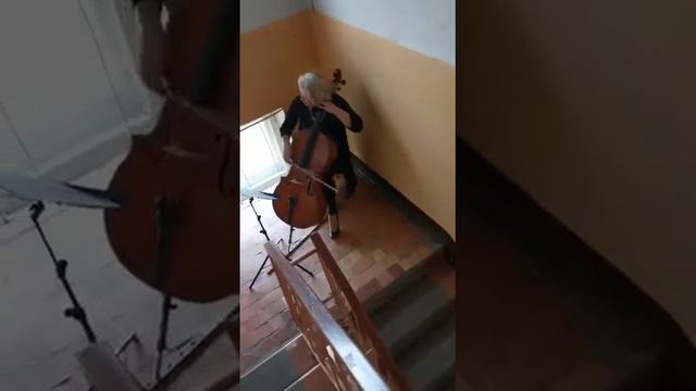 Карантин нам не почём) исполнили Такаева Эльмира и Куршева Татьяна. Оператор Петрова И.24. 042020 г смотреть онлайн