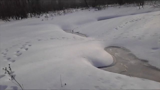 Снятие капканов на выдру попалась выдра! 2022-2023 смотреть онлайн