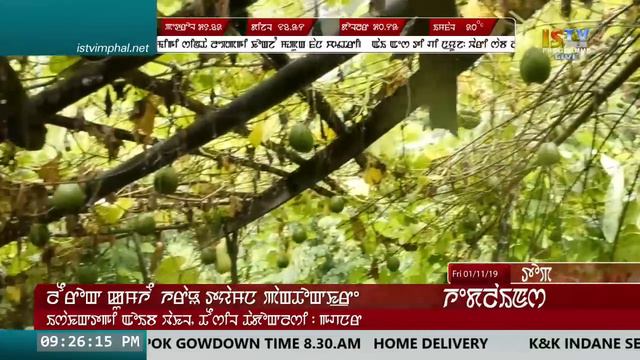 ISTV NEWS 9 PM MANIPURI 1st NOVEMBER 2019 / LIVE смотреть онлайн