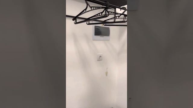 Арцеуловская Аллея смотреть онлайн