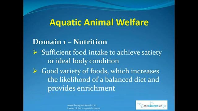 Aquarium Fish Welfare смотреть онлайн