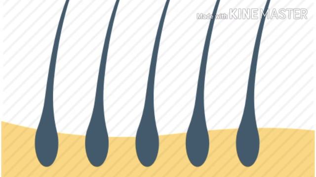 MICROBIAL ACTION смотреть онлайн