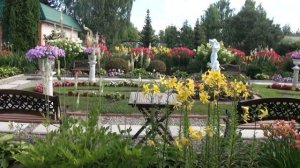 В объятьях знойного июля. Сад Н. Дементьева