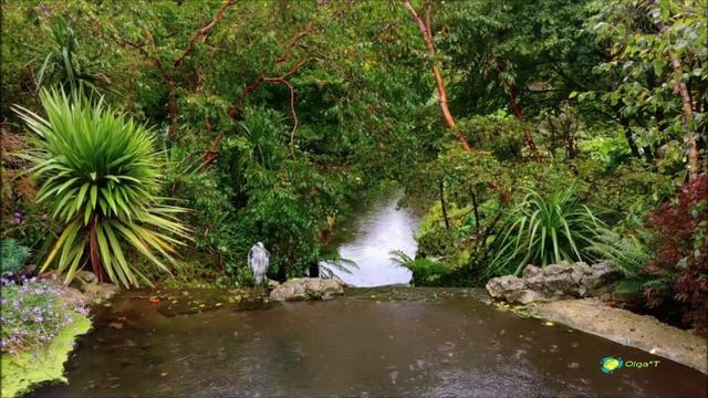 30 мин расслабляющей музыки для сна Звуки дождя Музыка для медитации#8 смотреть онлайн