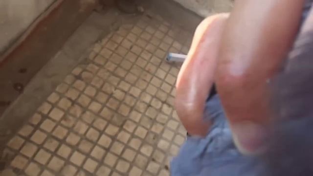 Голубь на балконе смотреть онлайн