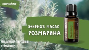 Розмарин - эфирное масло | Идеальное средство для роста волос и жизненных сил