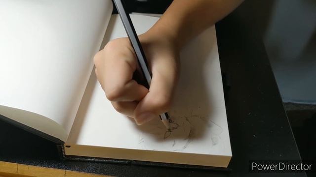 Drawing A Collage Of My Cat (WATCH TO THE END) #drawing #art #pets #tutorial #cutecat #sketch #draw