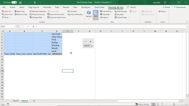 SmartView - Navigating through Data смотреть онлайн